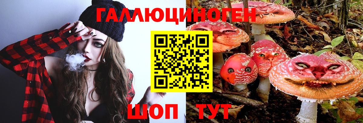 Наро-Фоминск  Псилоцибиновые грибы MAGIC MUSHROOMS  Вход с VPN 